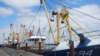 HWK Texel 2015 046_small.jpg